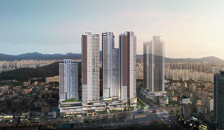 빌리브 라디체